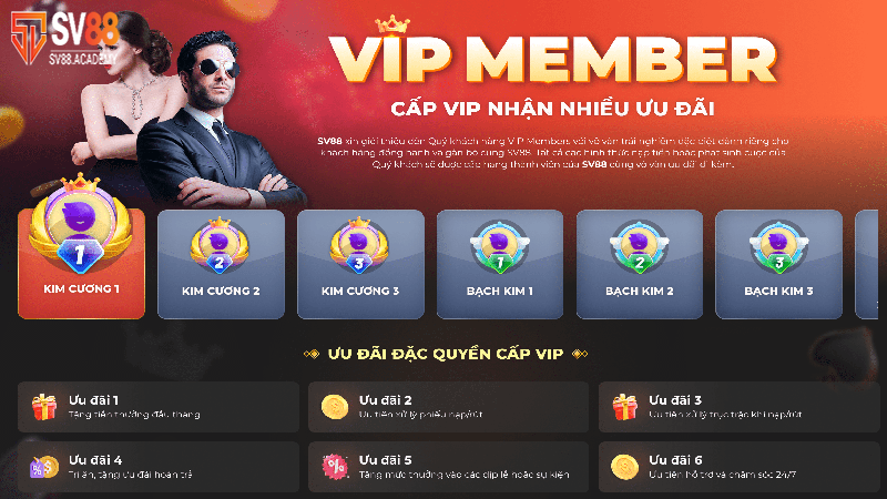 Quyền lợi nhận được khi nâng cấp lên thành VIP